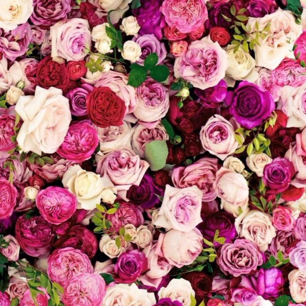 Meet your Posher, Sue